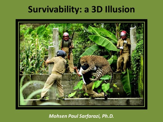 Survivability Illusion 1